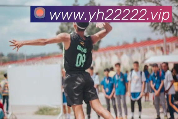 数据分析功能
